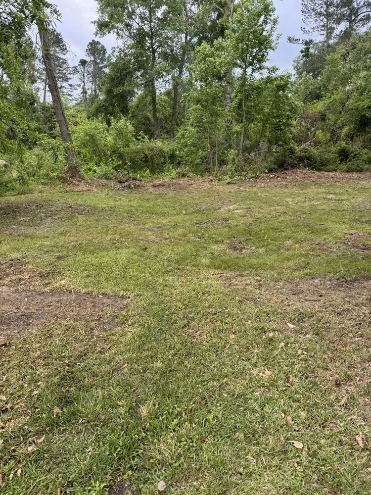 Reliable yard maintenance in Augusta-Richmond County consolidated government (balance), GA by South Georgia construction & landscape Worx