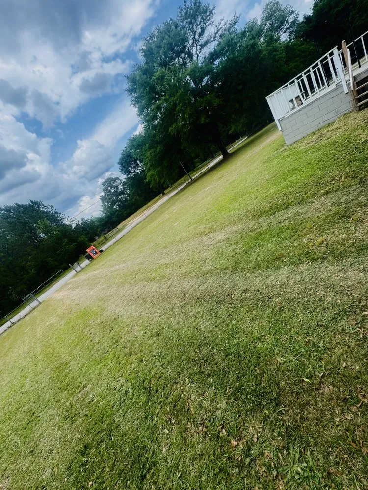 Professional yard cleanup service for year-round maintenance in Augusta-Richmond County consolidated government (balance), GA by South Georgia construction & landscape Worx