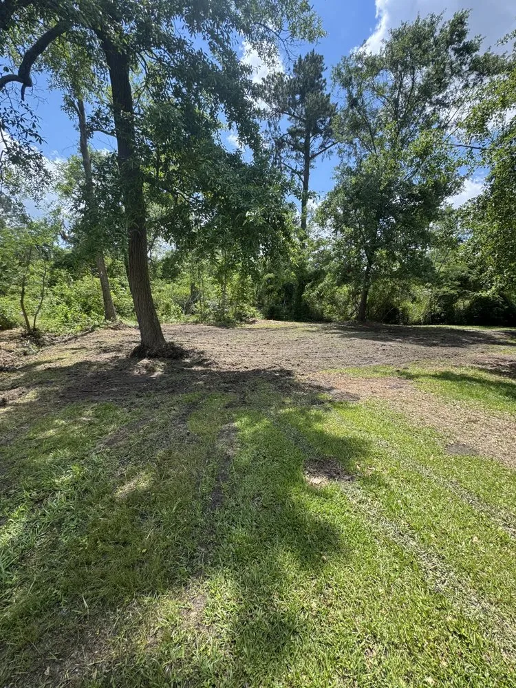 Custom yard cleanup service in Augusta-Richmond County consolidated government (balance), GA - South Georgia construction & landscape Worx