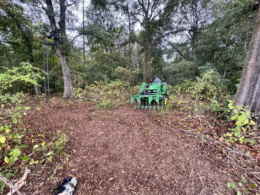 Reliable lawn care service with custom design across Moultrie, GA - South Georgia Land Service