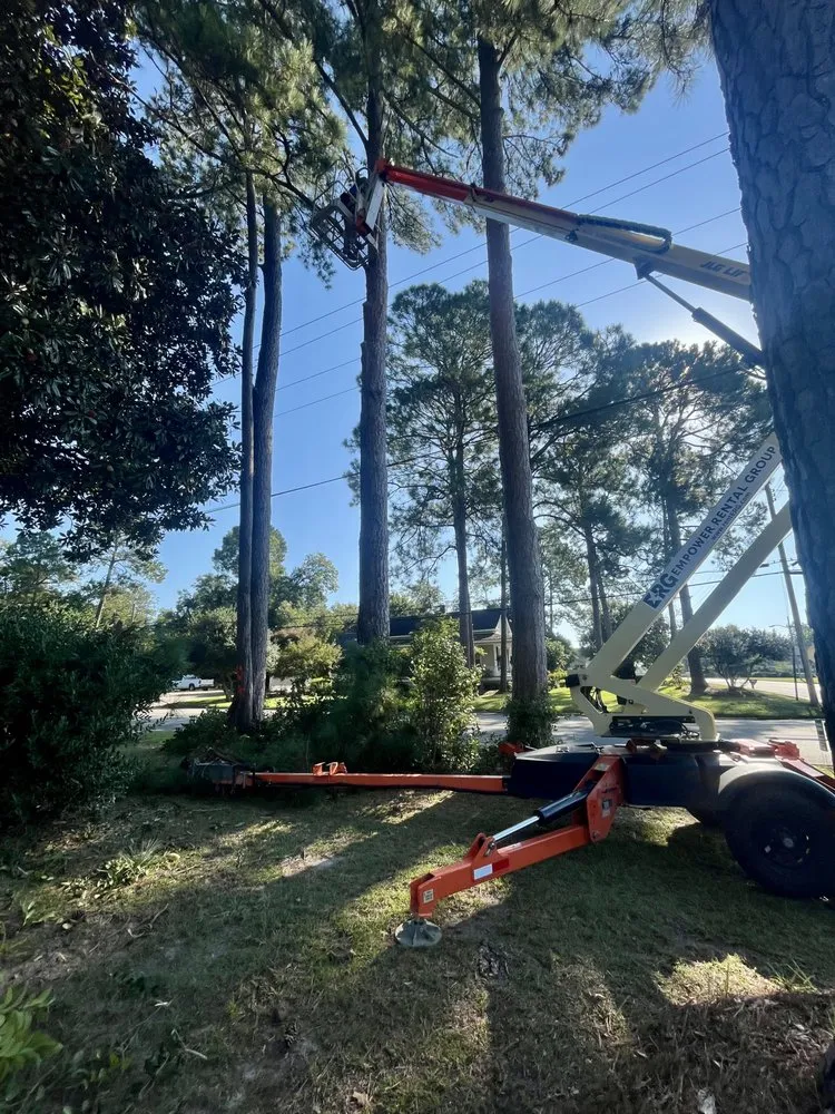 Local garden landscaping in Moultrie, GA by South Georgia Land Service