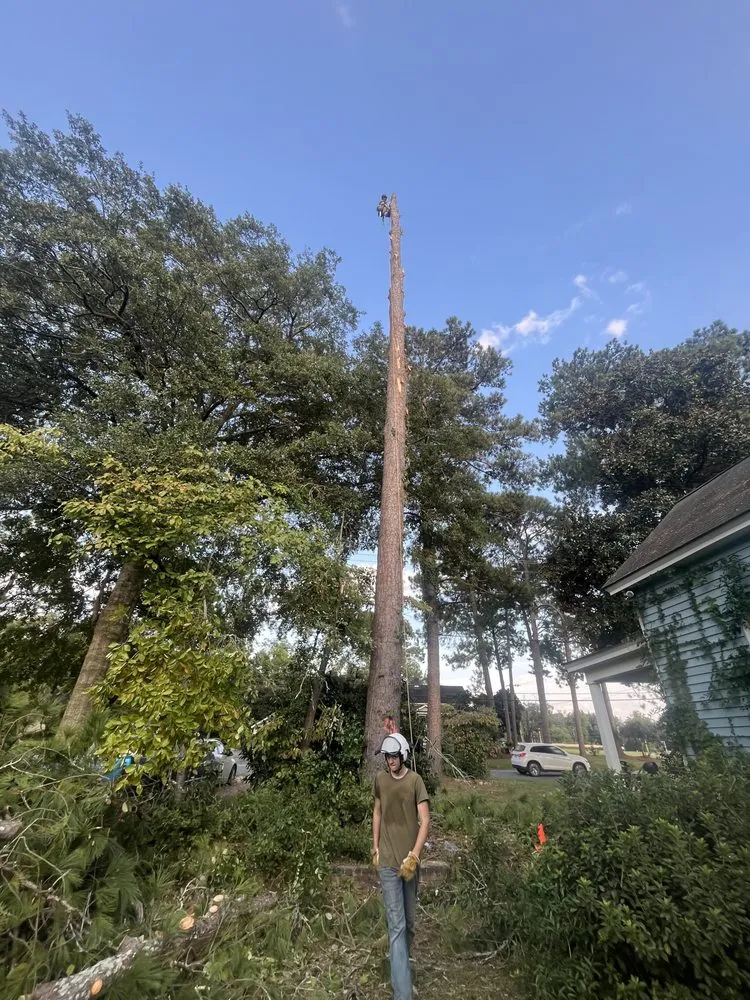 Professional residential landscaping experts serving Moultrie, GA - South Georgia Land Service