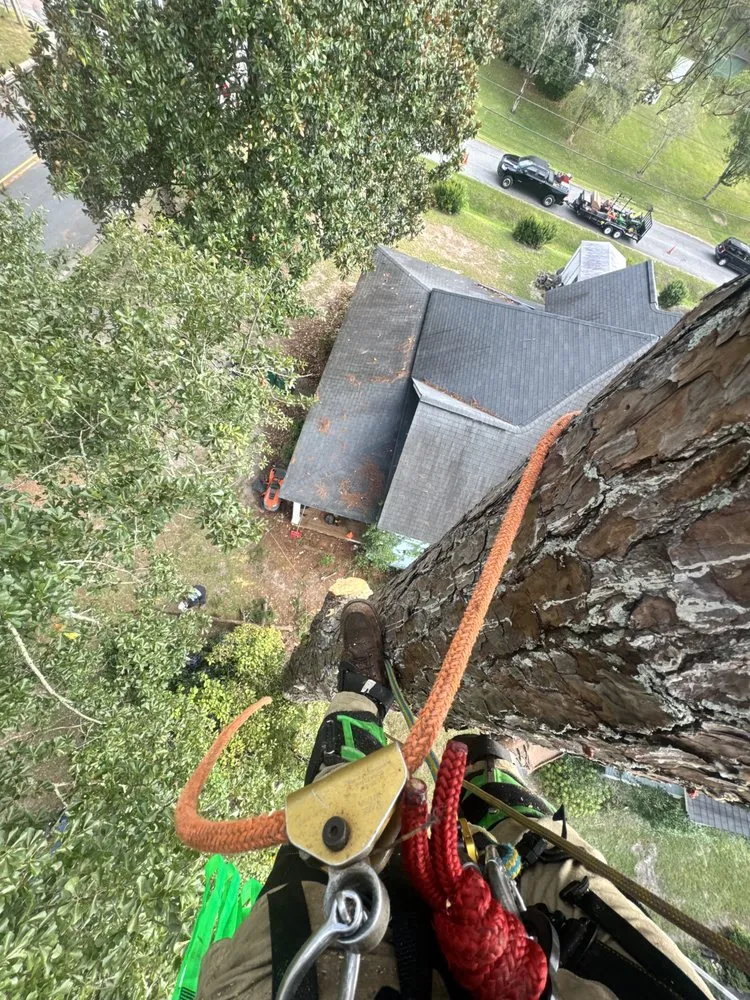 Local yard maintenance for residential properties across Moultrie, GA - South Georgia Land Service