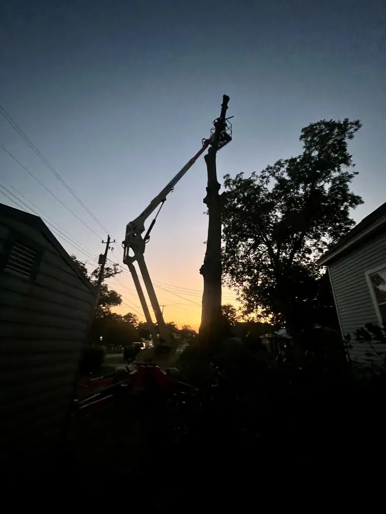 Expert landscape installation experts serving Moultrie, GA - South Georgia Land Service