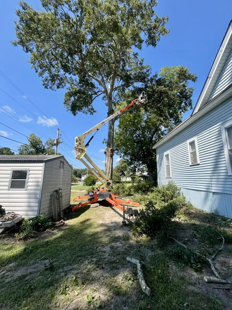 Top-rated outdoor landscaping for beautiful yards across Moultrie, GA - South Georgia Land Service