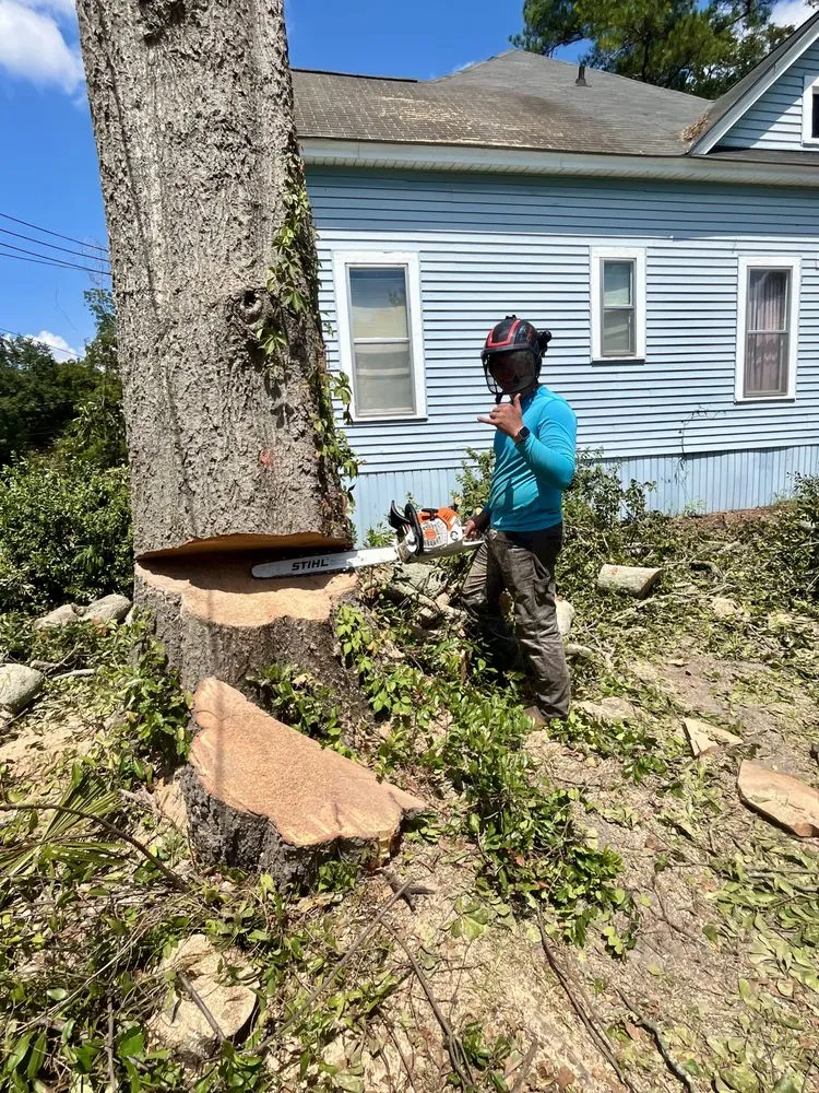 Affordable landscape installation in Moultrie, GA - South Georgia Land Service