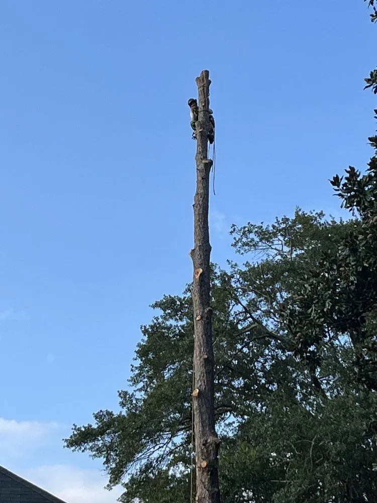 Professional lawn mowing service for year-round maintenance across Moultrie, GA - South Georgia Land Service