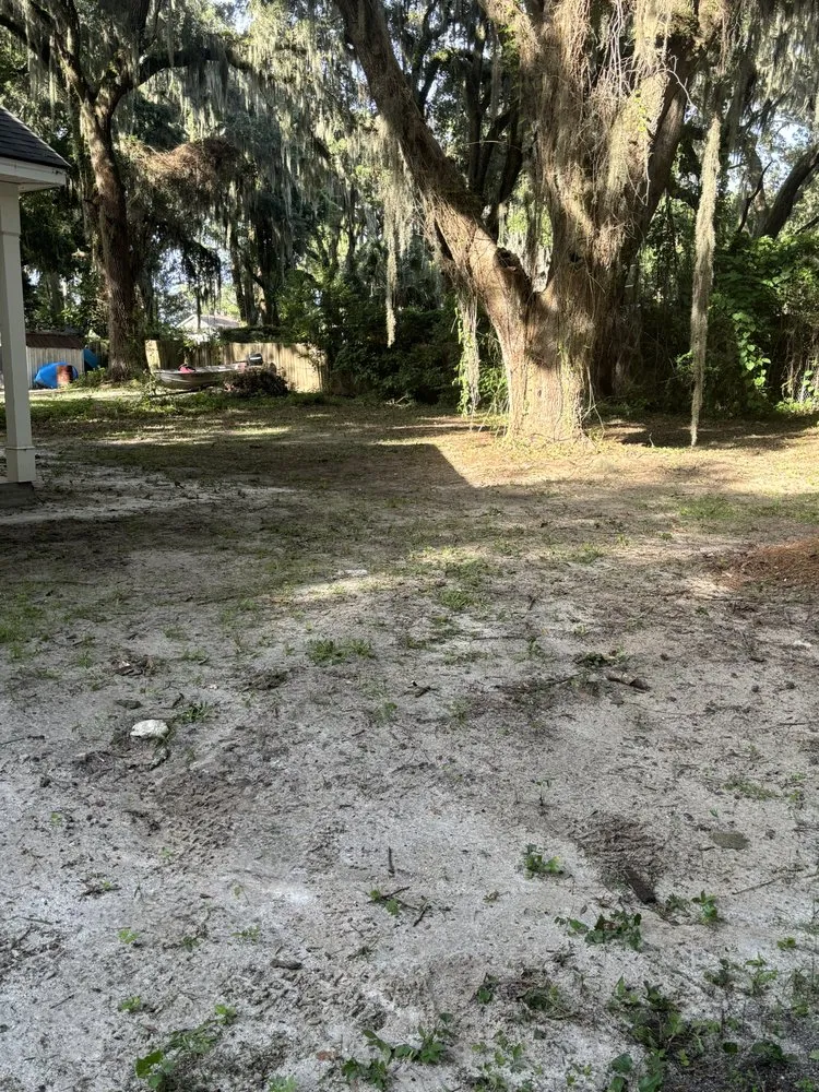 Top-rated landscape design experts serving Midway, GA - South Georgia Landscaping & Maintenance