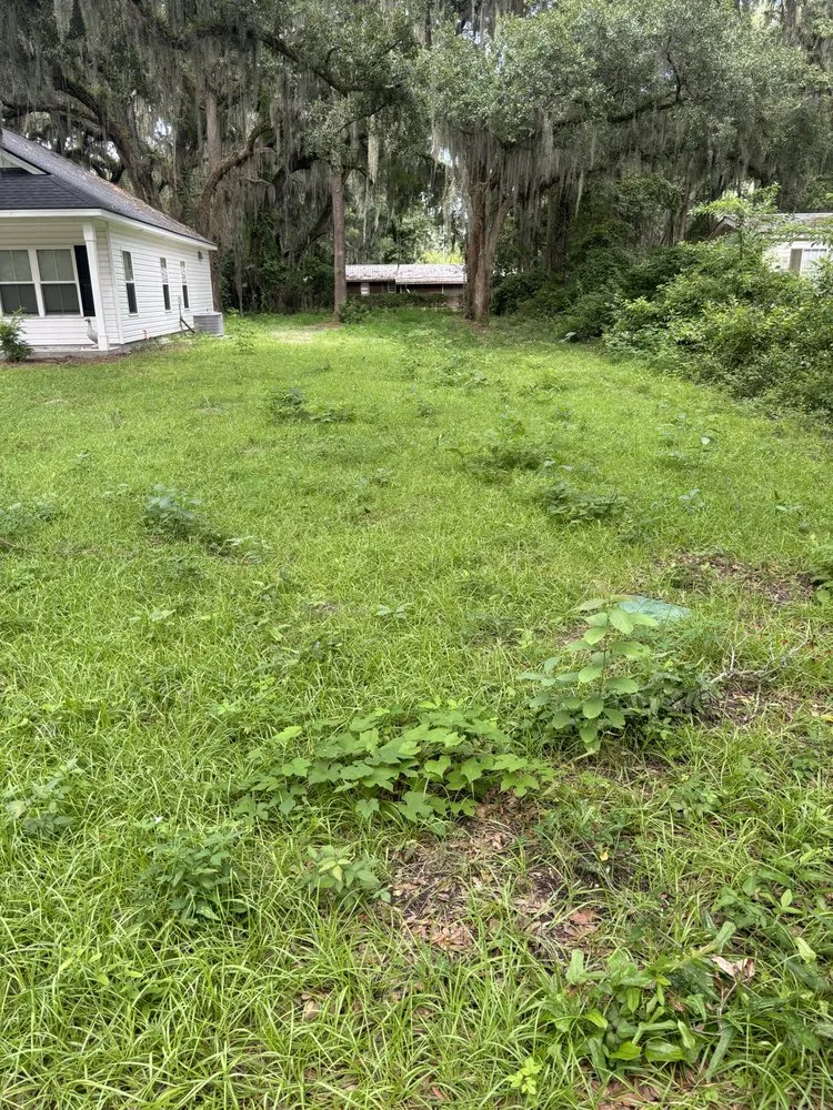 Reliable landscape installation for homes in Midway, GA by South Georgia Landscaping & Maintenance