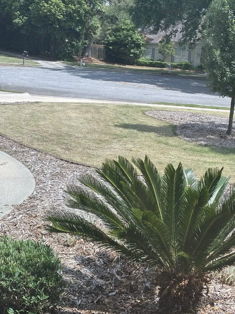 Affordable landscaping services experts serving Valdosta, GA - South Georgia Turf Management