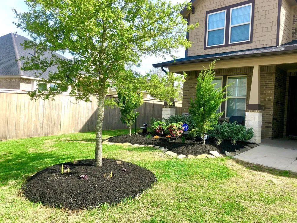Trusted yard maintenance in Tomball, TX by South Heat Landscaping