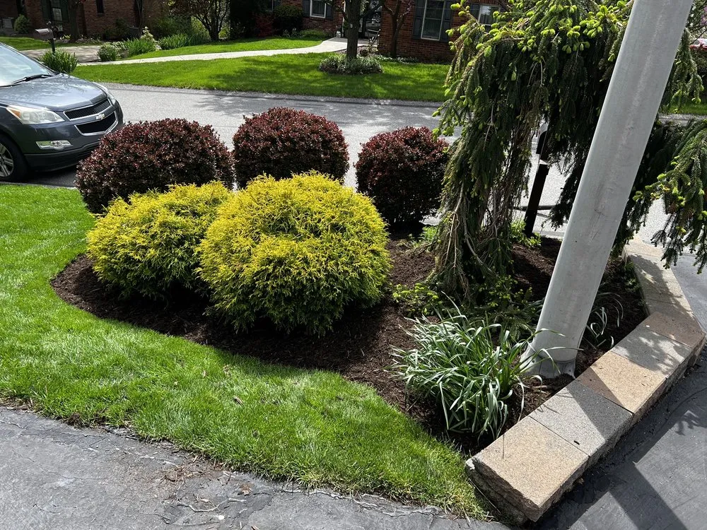 Top-rated lawn mowing service experts serving Bethel Park, PA - South Hills Yard Barbers