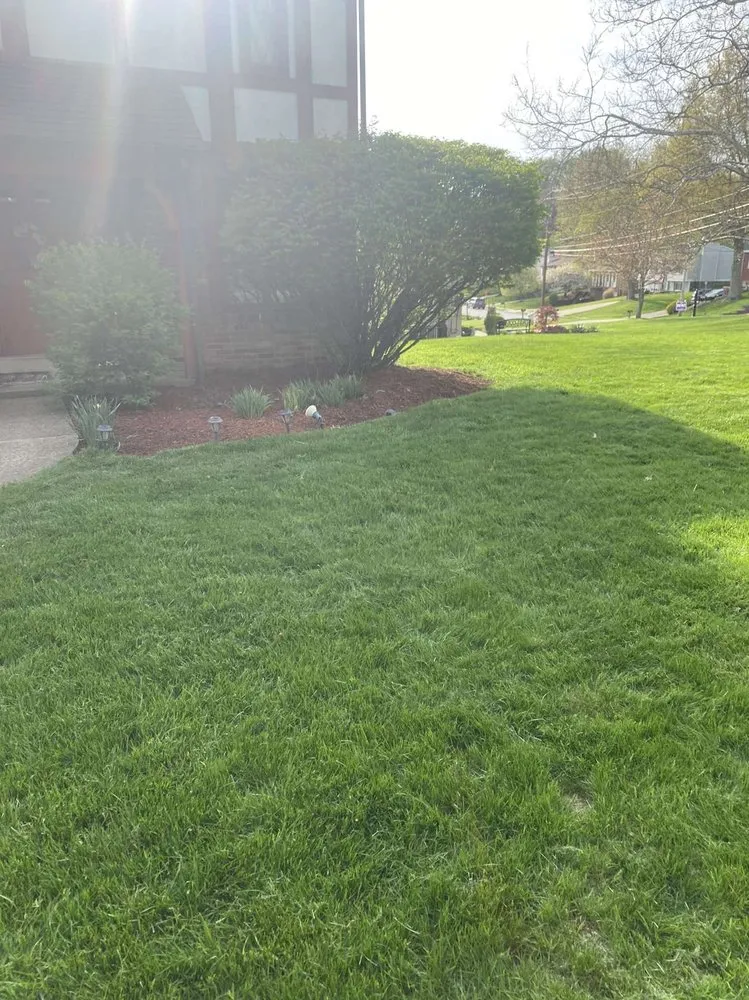 Top-rated yard cleanup service for beautiful yards across Bethel Park, PA - South Hills Yard Barbers
