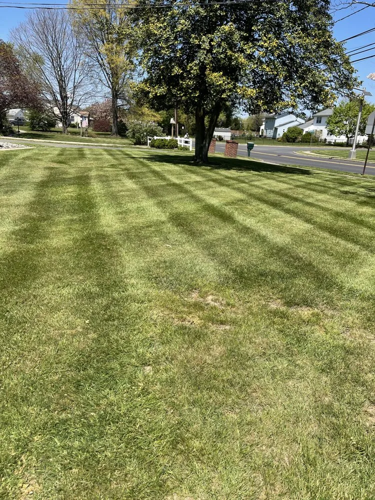 Affordable residential landscaping in Riverside, NJ by South Jersey Landscape