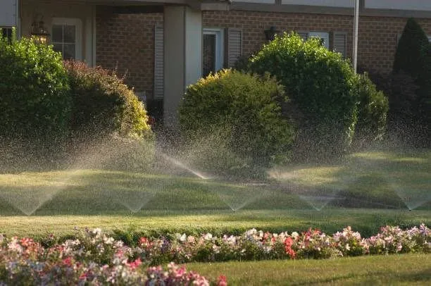 Top-rated landscape design experts serving Groveland, FL - South Lake Irrigation