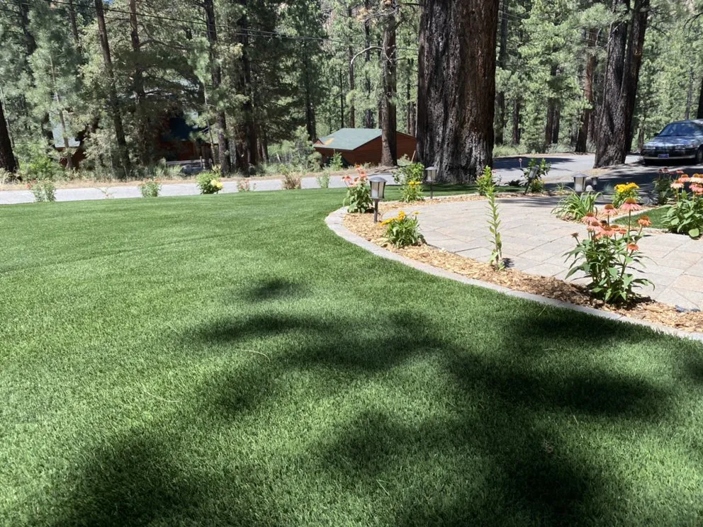 Professional yard cleanup service near you across South Lake Tahoe, CA - South Lake Landscaping