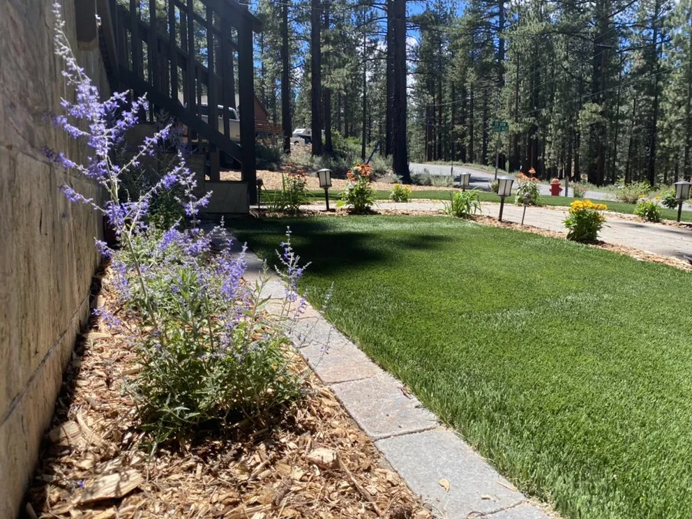 Custom residential landscaping in South Lake Tahoe, CA by South Lake Landscaping