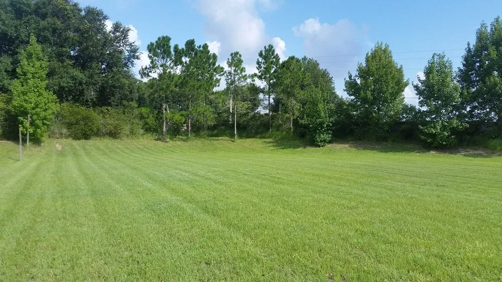 Expert yard cleanup service for residential properties in Minneola, FL by South Lake Lawn Care