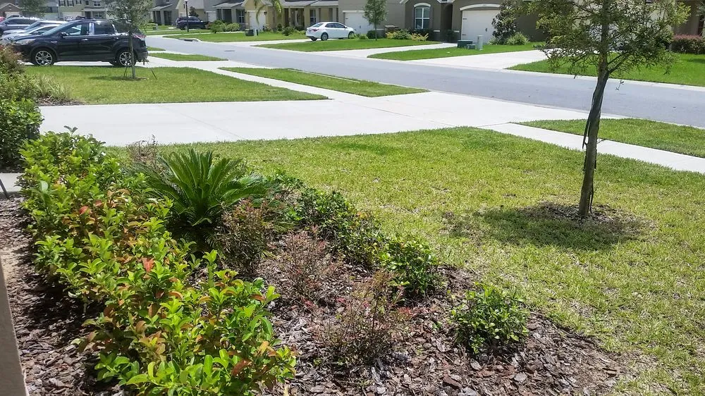 Trusted outdoor landscaping for year-round maintenance across Minneola, FL - South Lake Lawn Care