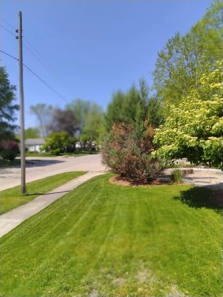 Professional yard maintenance in Benton Harbor, MI by South Lawn Care And Yard Care