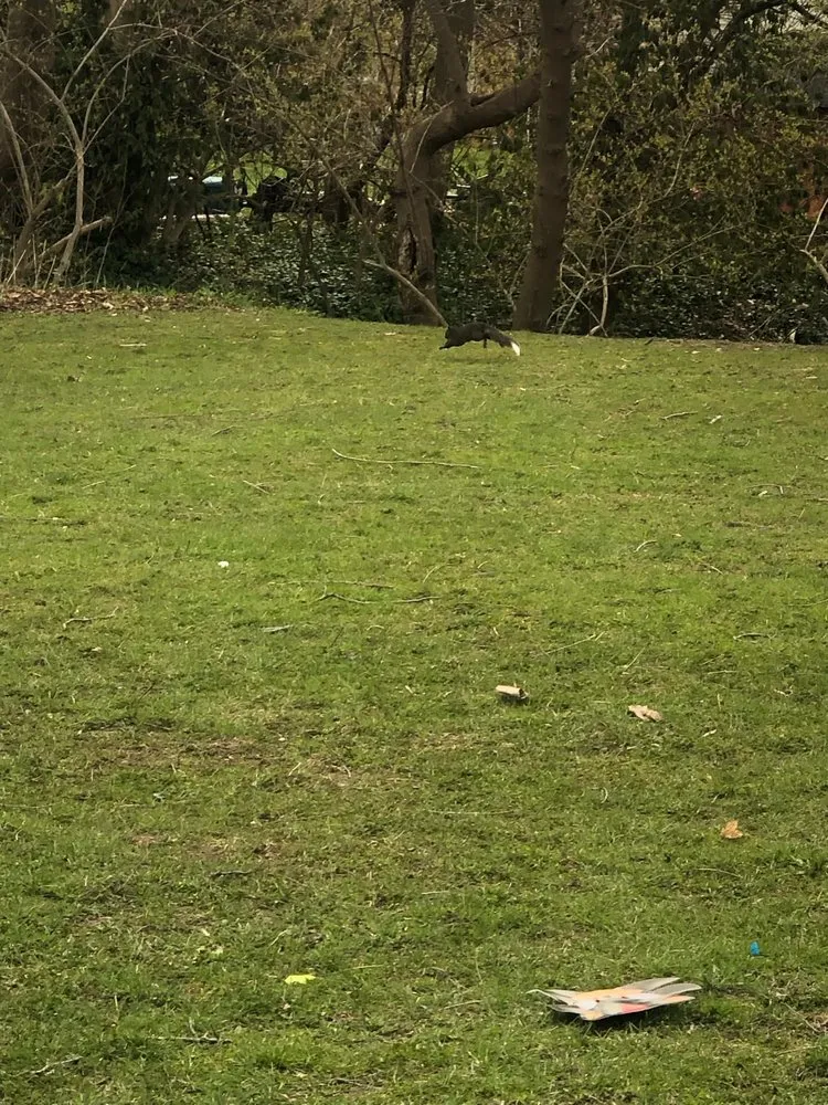 Trusted landscape design in Benton Harbor, MI - South Lawn Care And Yard Care