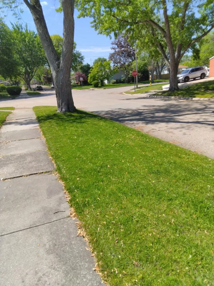 Top-rated lawn mowing service in Benton Harbor, MI by South Lawn Care And Yard Care