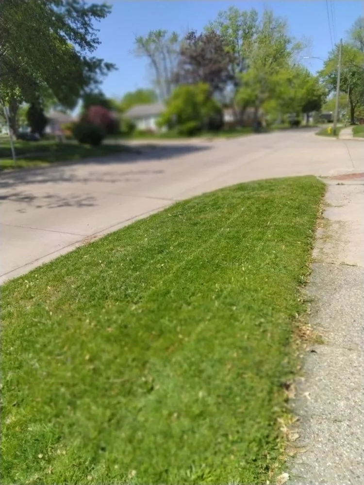 Reliable yard cleanup service in Benton Harbor, MI - South Lawn Care And Yard Care