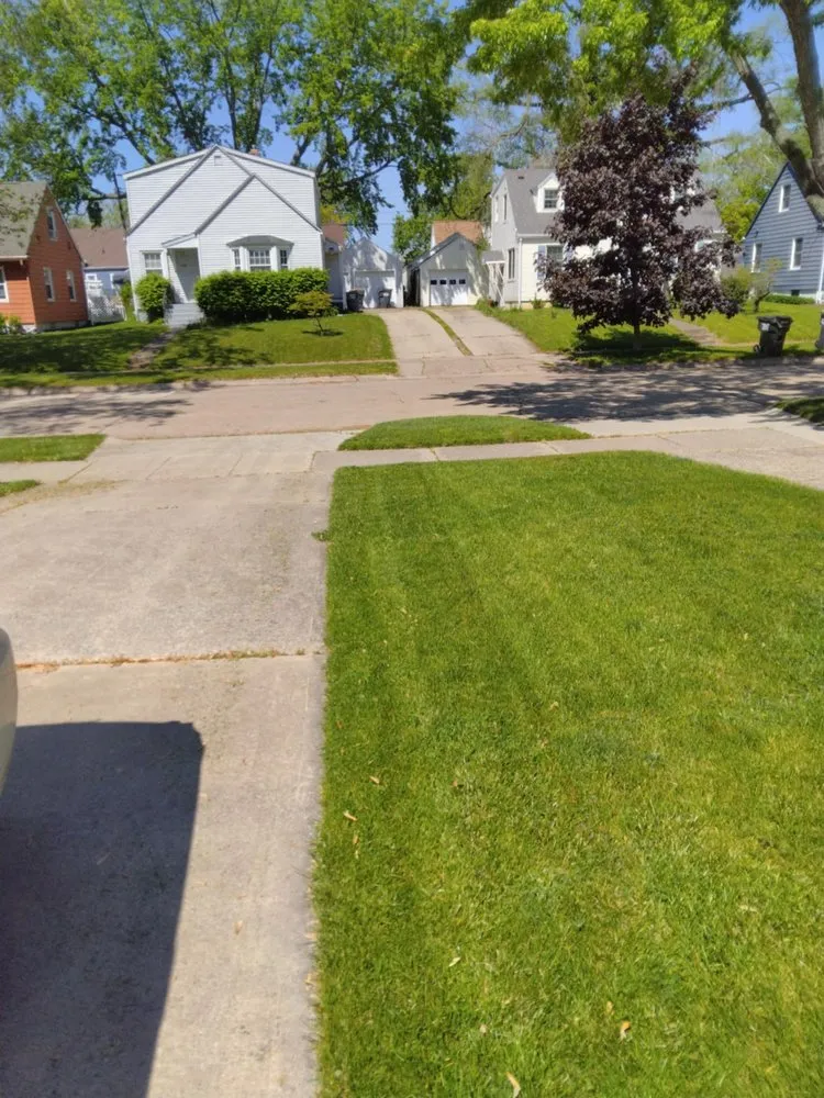 Expert landscaping services experts serving Benton Harbor, MI - South Lawn Care And Yard Care