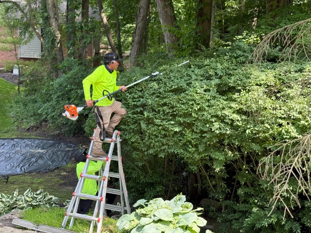 Affordable landscape design in South Lyon, MI - South Lyon Lawn And Irrigation