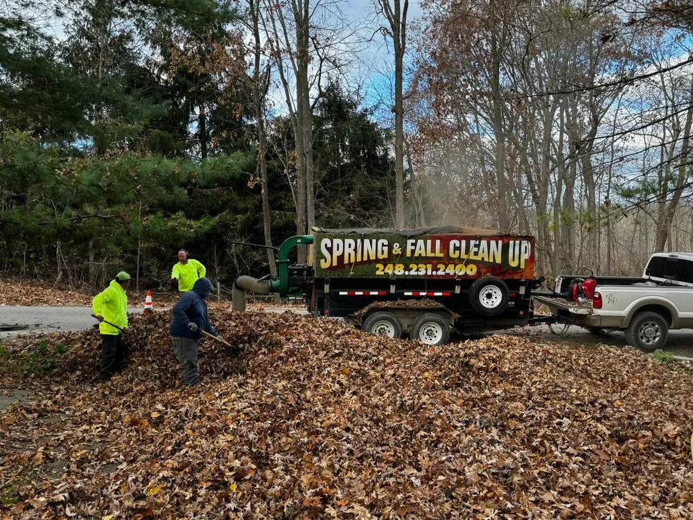 Professional yard maintenance in South Lyon, MI - South Lyon Lawn And Irrigation