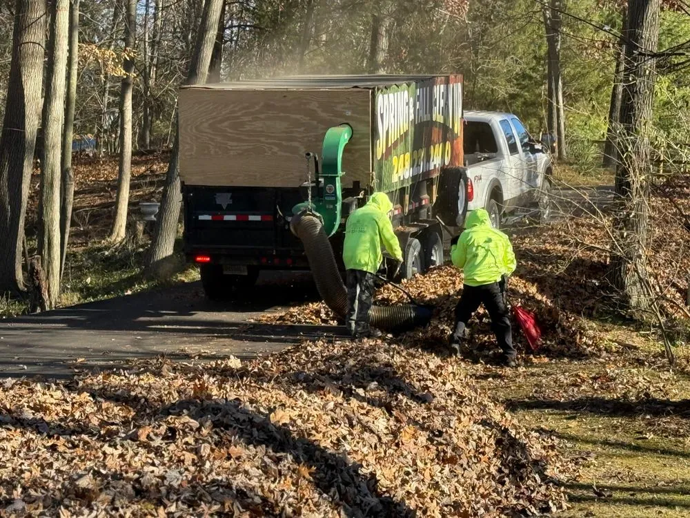 Affordable landscape design experts serving South Lyon, MI - South Lyon Lawn And Irrigation