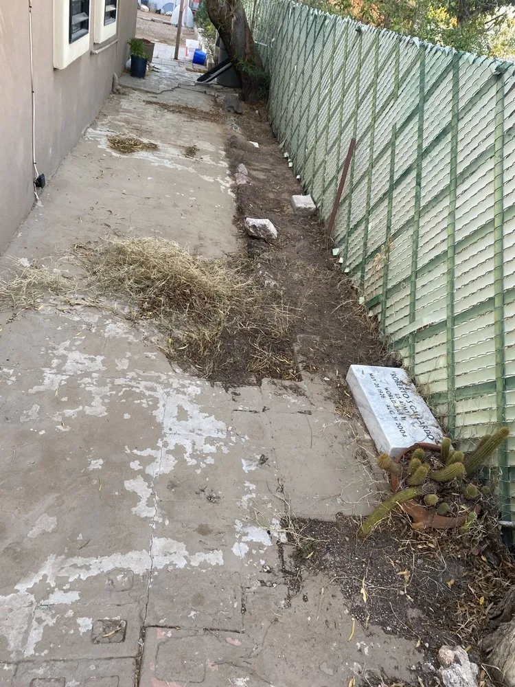 Expert landscape installation in Tucson, AZ - South Made Shining General Yard Work