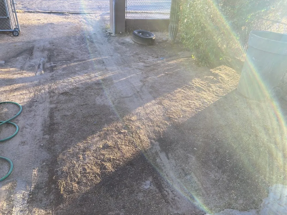 Affordable landscape design for residential properties in Tucson, AZ by South Made Shining General Yard Work