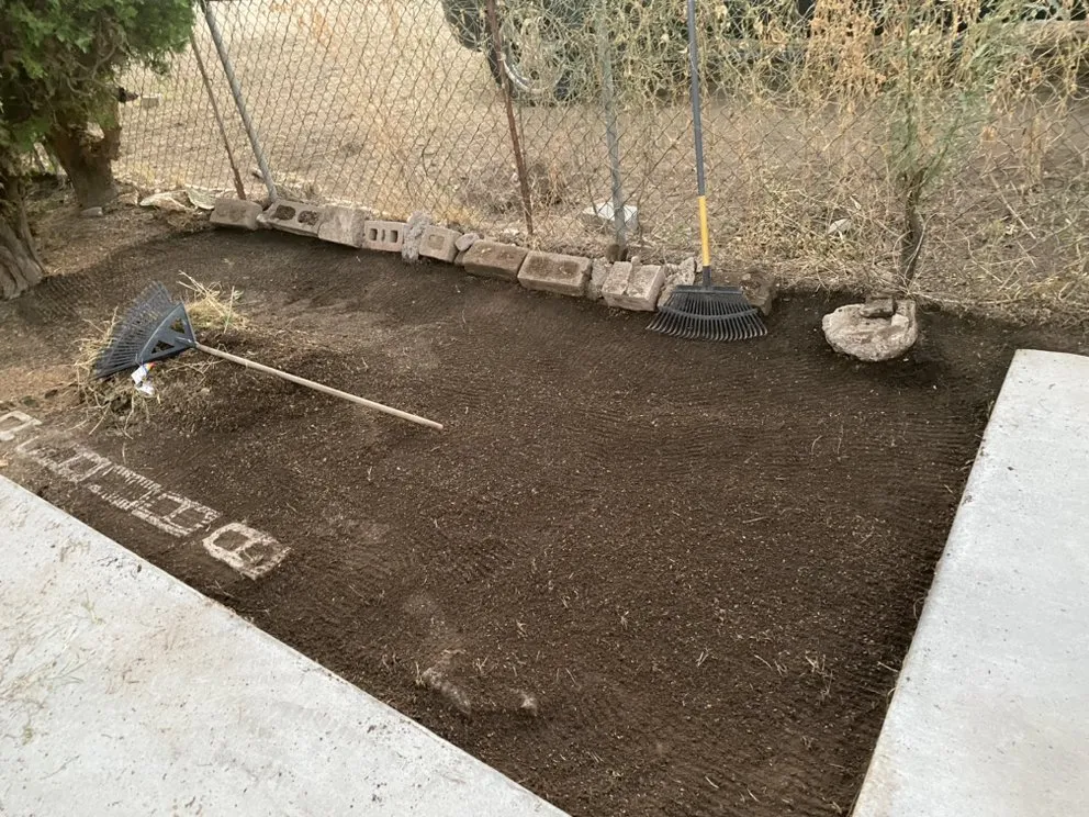 Professional landscaping services for year-round maintenance in Tucson, AZ by South Made Shining General Yard Work