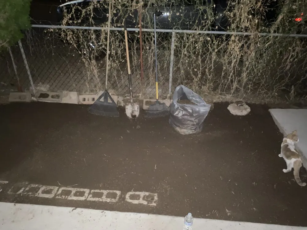 Expert landscaping services for beautiful yards across Tucson, AZ - South Made Shining General Yard Work