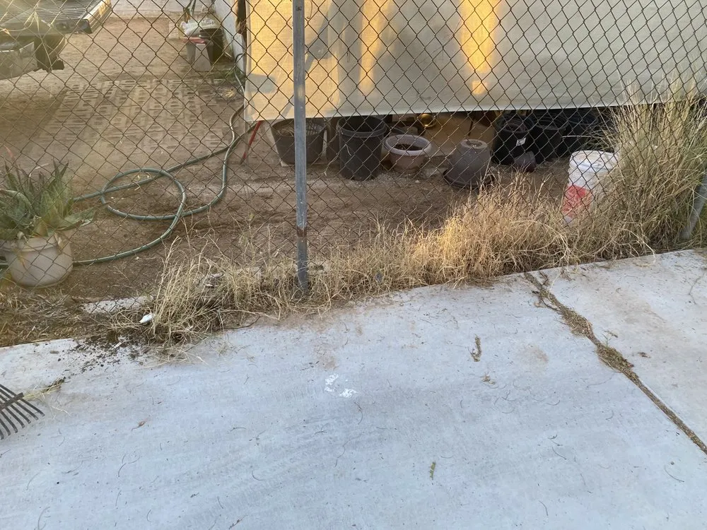 Reliable landscaping services experts serving Tucson, AZ - South Made Shining General Yard Work