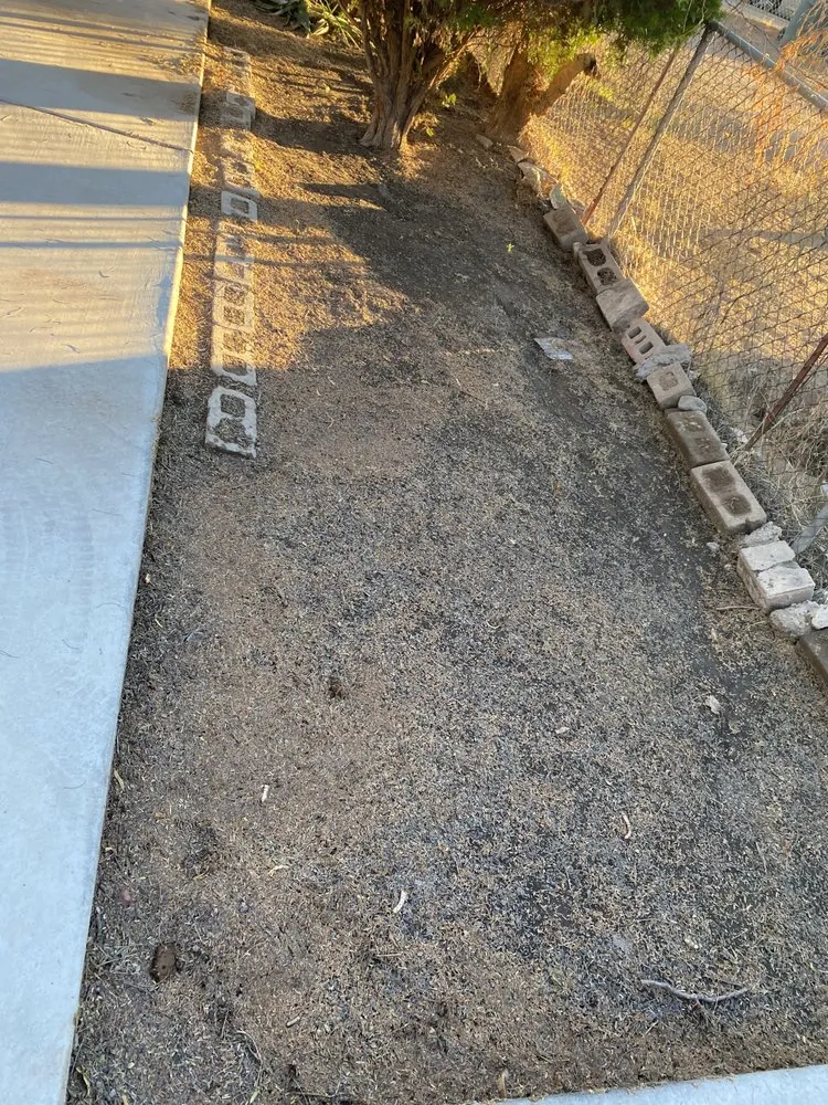 Expert landscaping services for beautiful yards across Tucson, AZ - South Made Shining General Yard Work