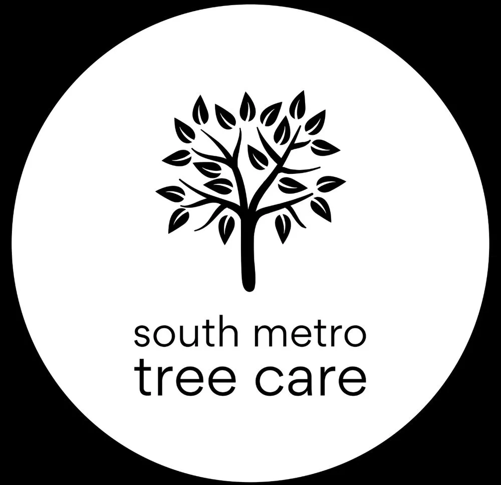 Professional landscape design in Littleton, CO - South Metro Tree Care