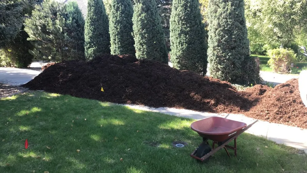 Reliable lawn mowing service for year-round maintenance across Englewood, CO - South Metro Yard Care