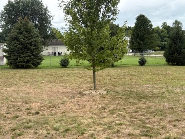 Professional yard cleanup service with custom design across Bloomingdale, MI - South Michigan Tree Services