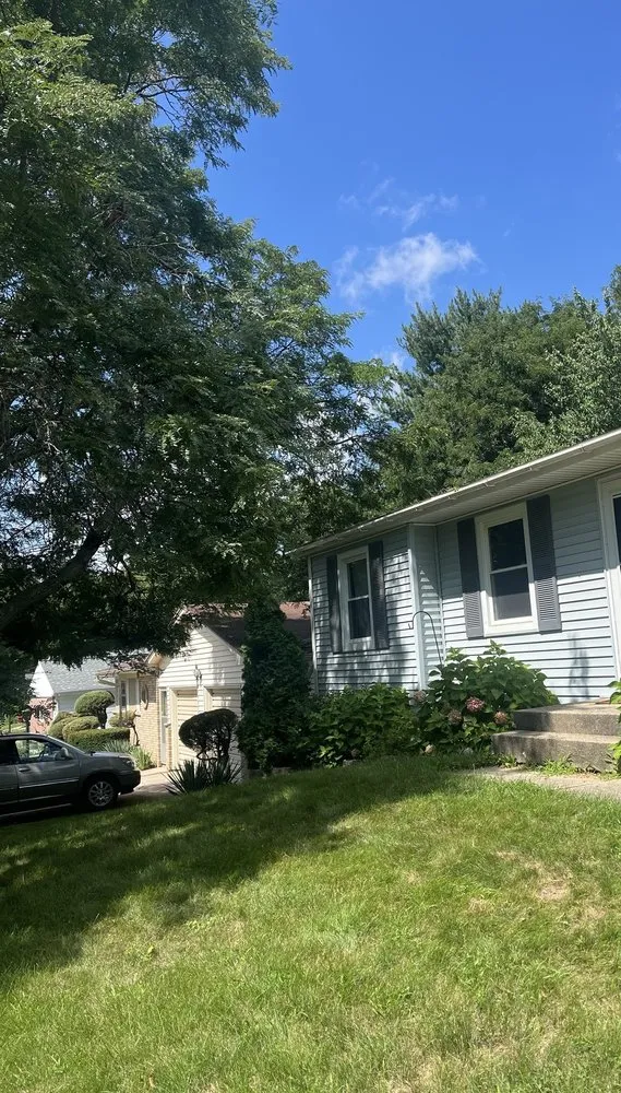 Professional outdoor landscaping in Bloomingdale, MI - South Michigan Tree Services