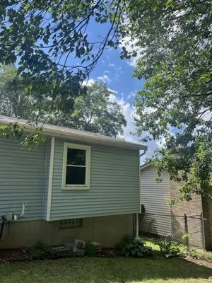 South Michigan Tree Services