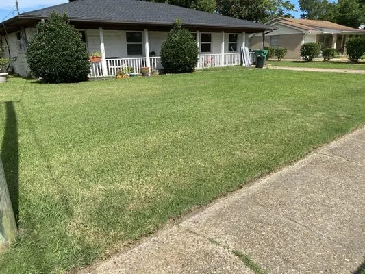 South Mississippi Lawn Care