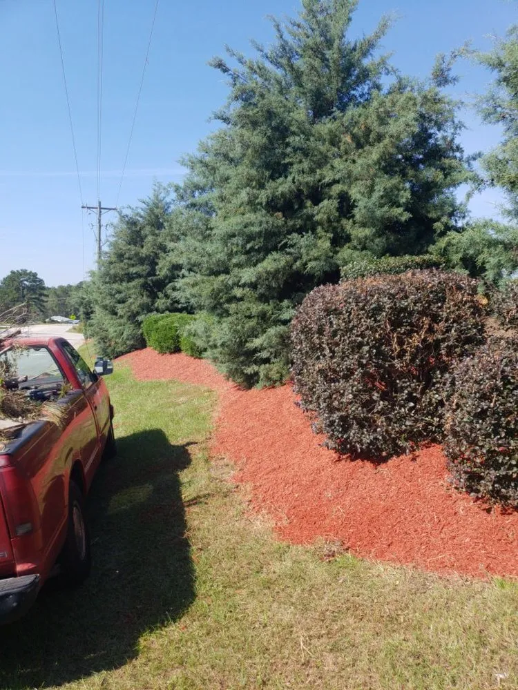 Trusted yard cleanup service in Raeford, NC by South Montanez Lawn Care