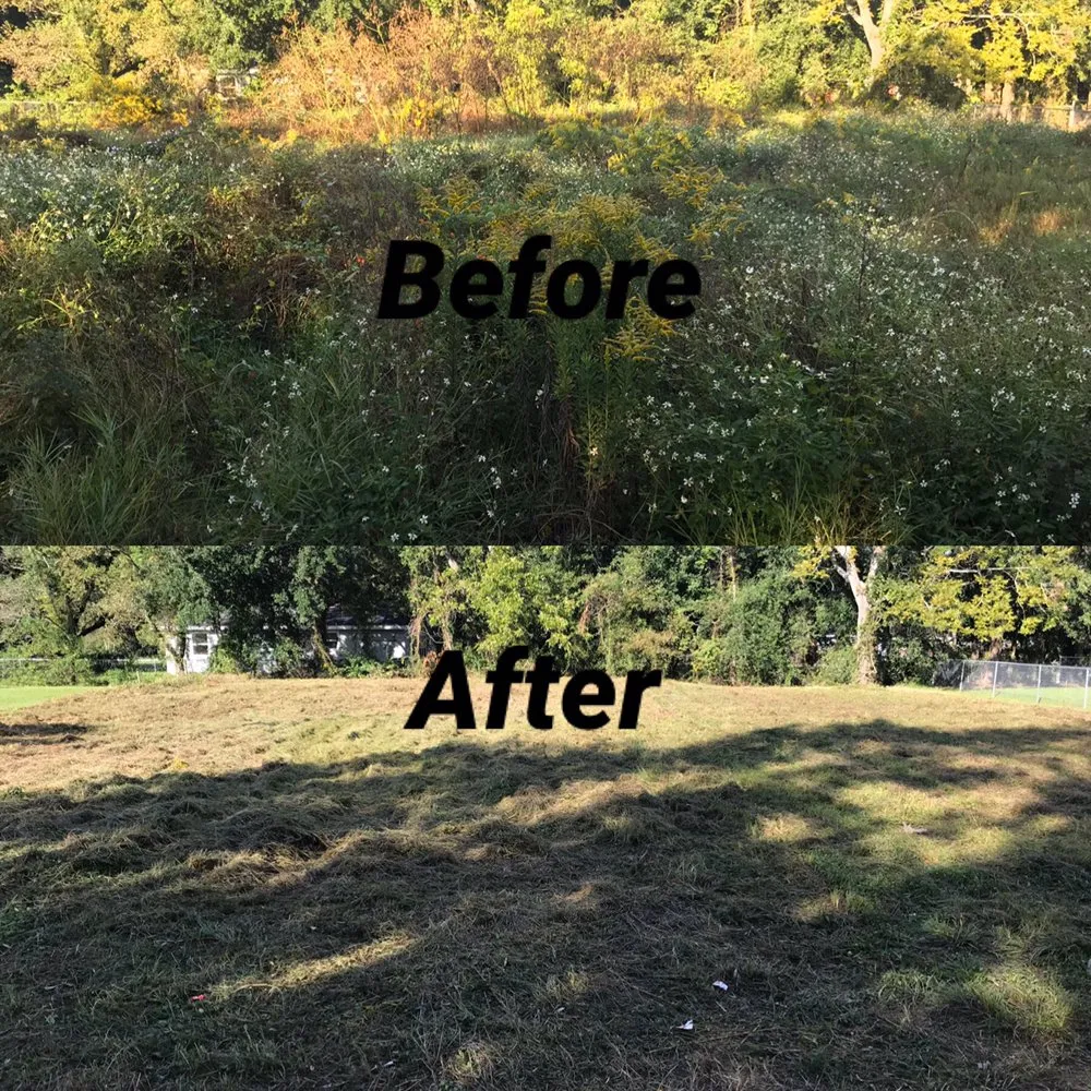 Top-rated lawn care service for beautiful yards across Vancleave, MS - South MS Outdoor Services