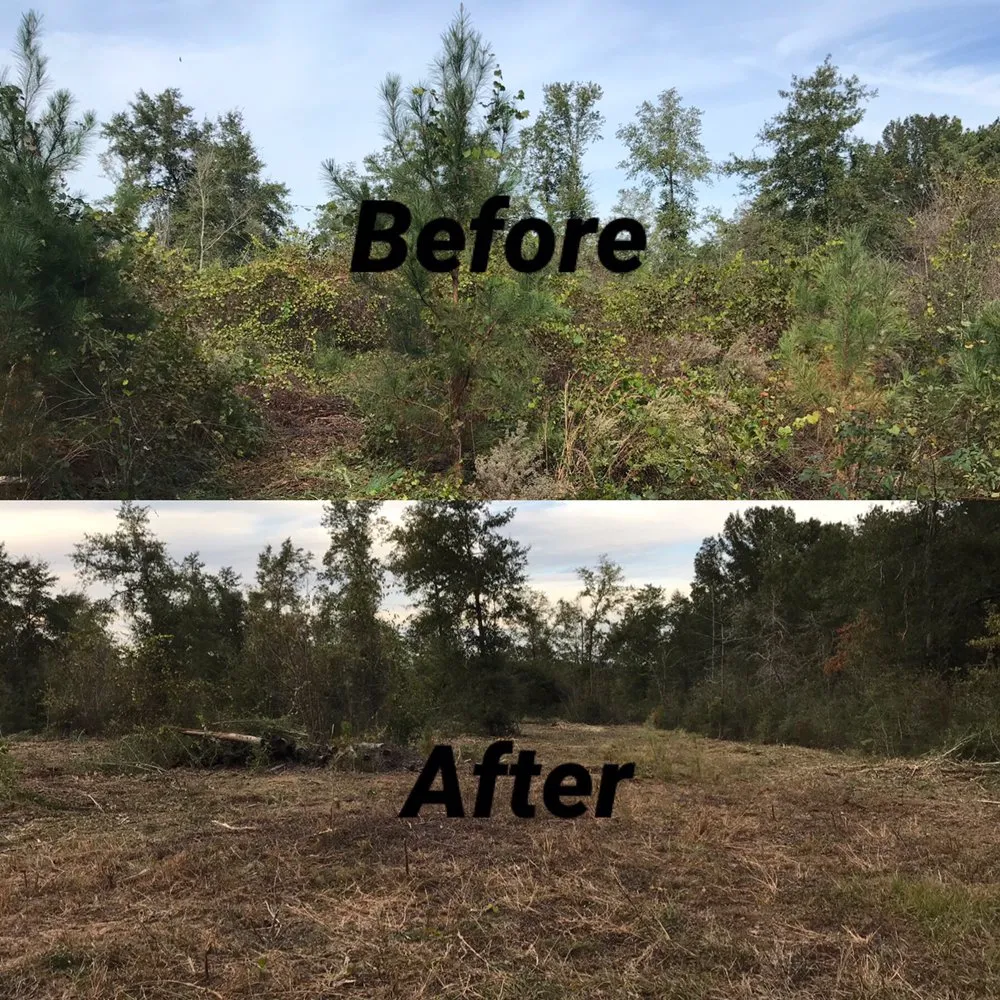 Top-rated residential landscaping in Vancleave, MS by South MS Outdoor Services