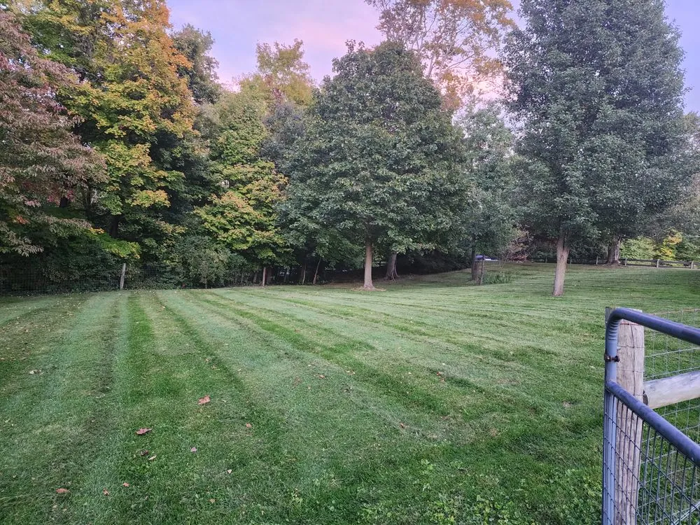 Reliable landscaping services in Mansfield, OH - South Of Saturn Landscapes