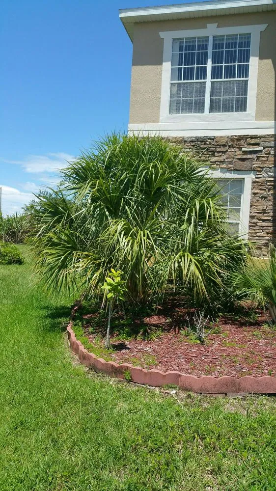 Local yard maintenance with custom design in Orlando, FL by South Orlando Lawn Care & Landscaping