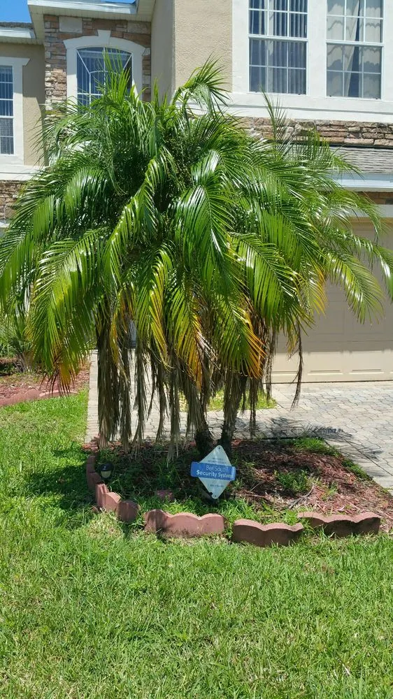 Affordable yard maintenance in Orlando, FL by South Orlando Lawn Care & Landscaping