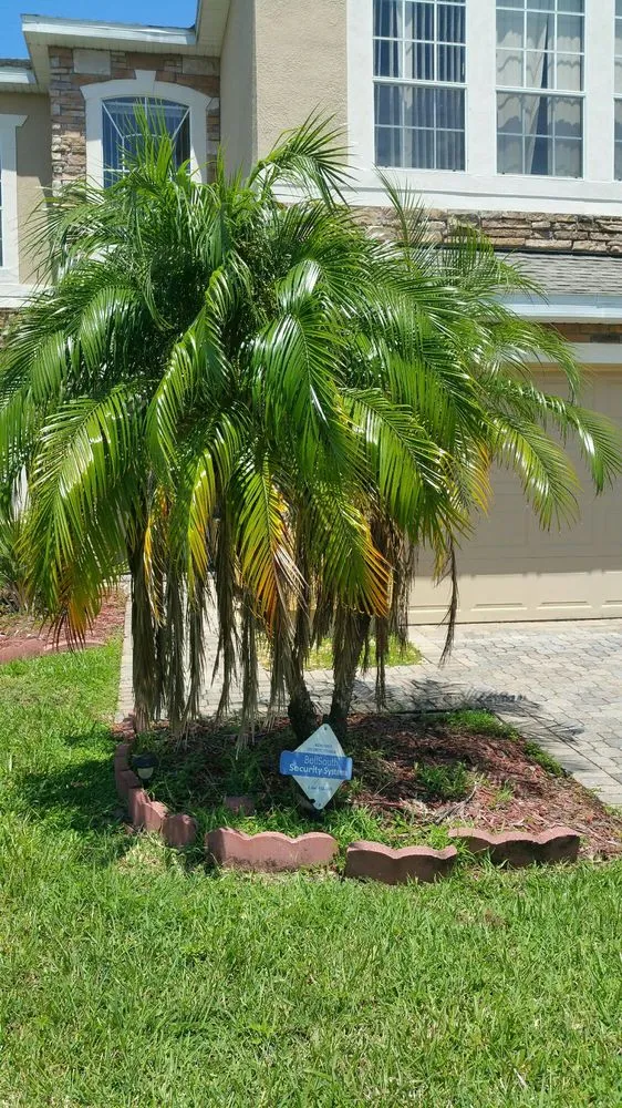 Top-rated yard maintenance in Orlando, FL by South Orlando Lawn Care & Landscaping